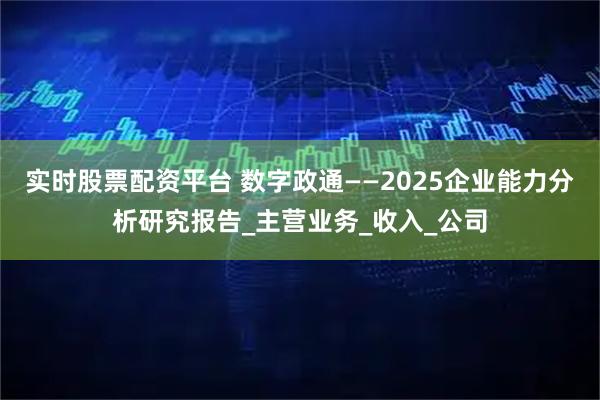 实时股票配资平台 数字政通——2025企业能力分析研究报告_主营业务_收入_公司