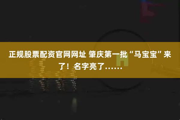 正规股票配资官网网址 肇庆第一批“马宝宝”来了！名字亮了……